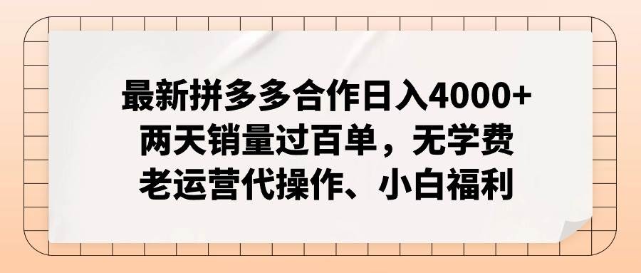 最新拼多多合作日入4000+两天销量过百单,无学费、老运营代操作、小白福利-荔枝网络