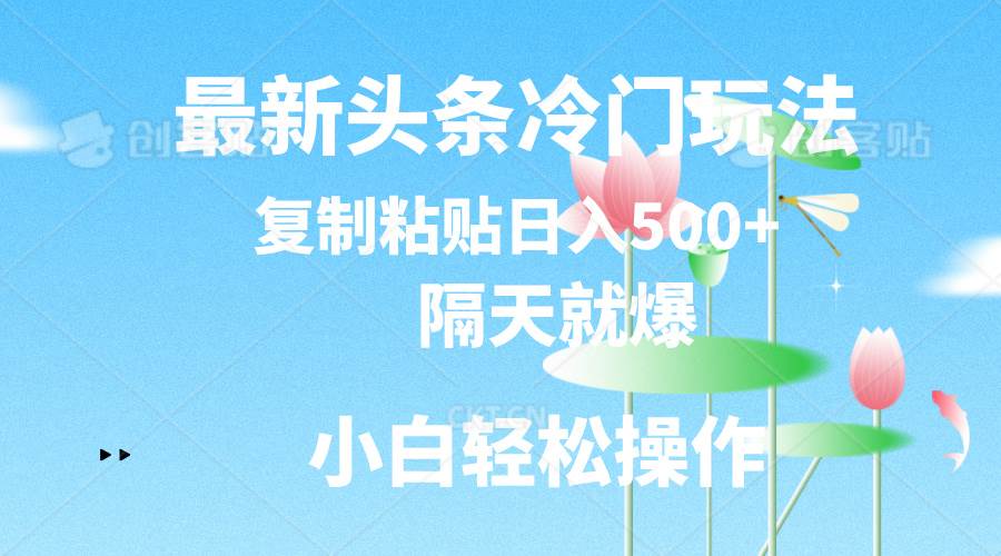 最新头条冷门玩法，隔天就爆，复制粘贴日入500+-荔枝网络
