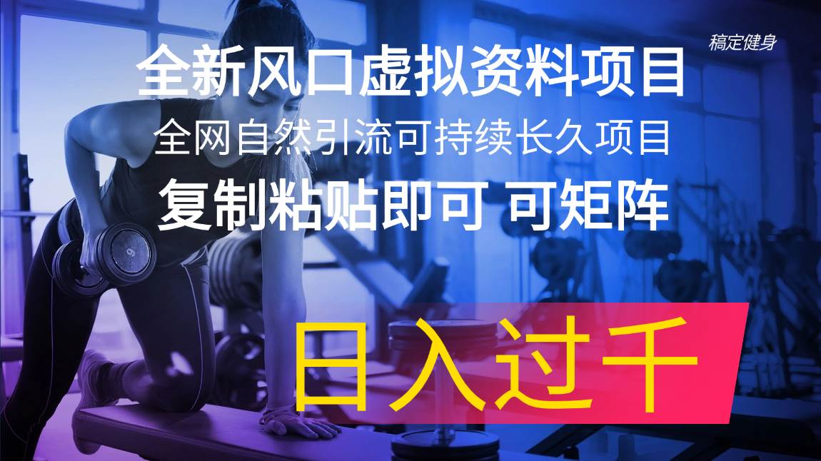 全新风口虚拟资料项目 全网自然引流可持续长久项目 复制粘贴即可可矩阵…-荔枝网络