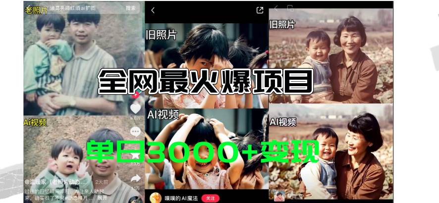 全网爆火的AI让老照片动起来教程，蹭热点日赚3000+，内含免费工具一键…-荔枝网络