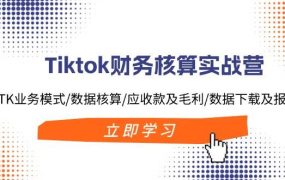 Tiktok财务核算实战营：TK业务模式/数据核算/应收款及毛利/数据下载及报表-荔枝网络