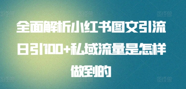 全面解析小红书图文引流日引100私域流量是怎样做到的-荔枝网络