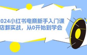 2024小红书电商新手入门课,店群实战,从0开始到学会(31节)-荔枝网络