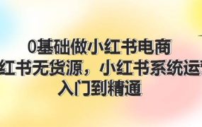 0基础做小红书电商，小红书无货源，小红书系统运营，入门到精通 (70节)-荔枝网络