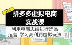 拼多多虚拟电商实战课：虚拟资源选品+运营，高利润虚拟玩法（更新14节）-荔枝网络