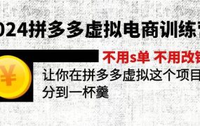 2024拼多多虚拟电商训练营 不s单 不改销量  做虚拟项目分一杯羹(更新10节)-荔枝网络