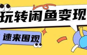 从0到1系统玩转闲鱼变现，教你核心选品思维，提升产品曝光及转化率-15节-荔枝网络
