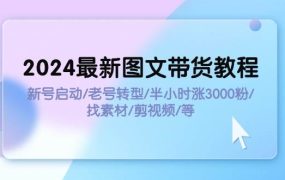 2024最新图文带货教程:新号启动/老号转型/半小时涨3000粉/找素材/剪辑-荔枝网络