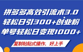 拼多多店铺引流技术3.0，日引300+付费创业粉，单号轻松日变现1000+-荔枝网络