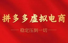 拼多多虚拟电商，单人操作10家店，单店日盈利100+-荔枝网络