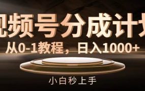 视频号分成计划,从0-1教程,日入1000+-荔枝网络