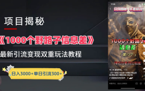 抖音一千个野路子信息差最新玩法教程-变现＋引流的玩法具体拆解-荔枝网络