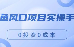 闲鱼风口项目实操手册，0投资0成本，让你做到，月入过万，新手可做-荔枝网络
