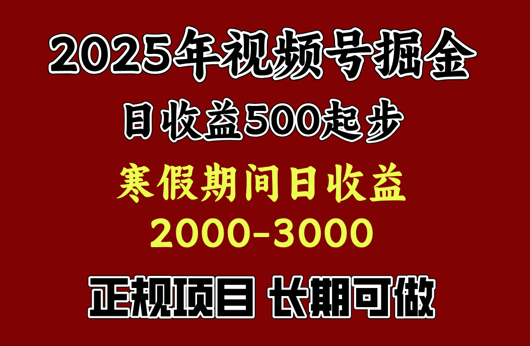最新视频号项目,单账号日收益500起步,寒假期间日收益2000-3000左右,-荔枝网络