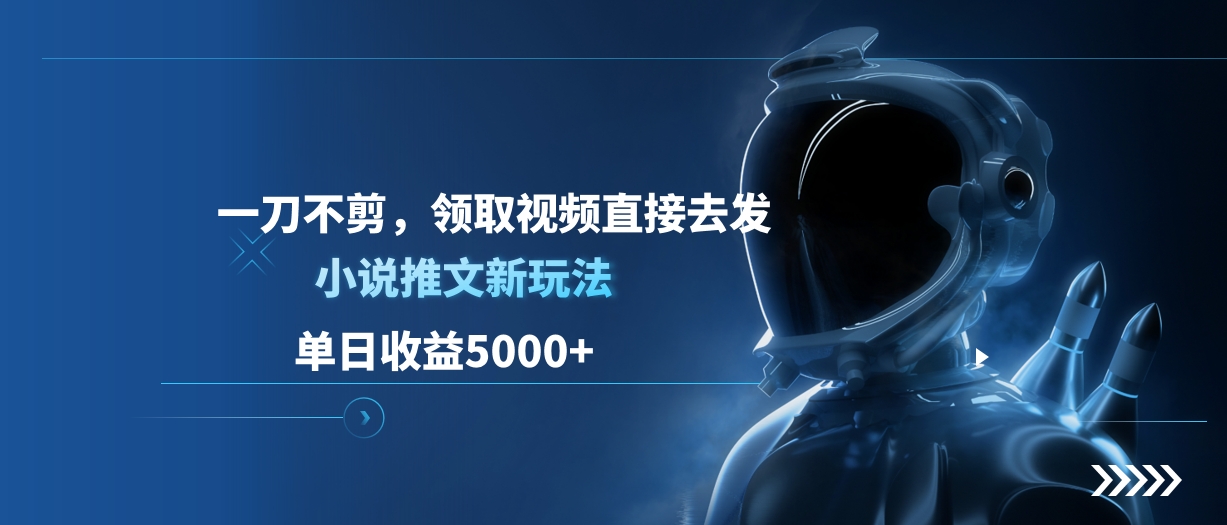 单日收益5000+，小说推文新玩法，一刀不剪，领取视频直接去发-荔枝网络