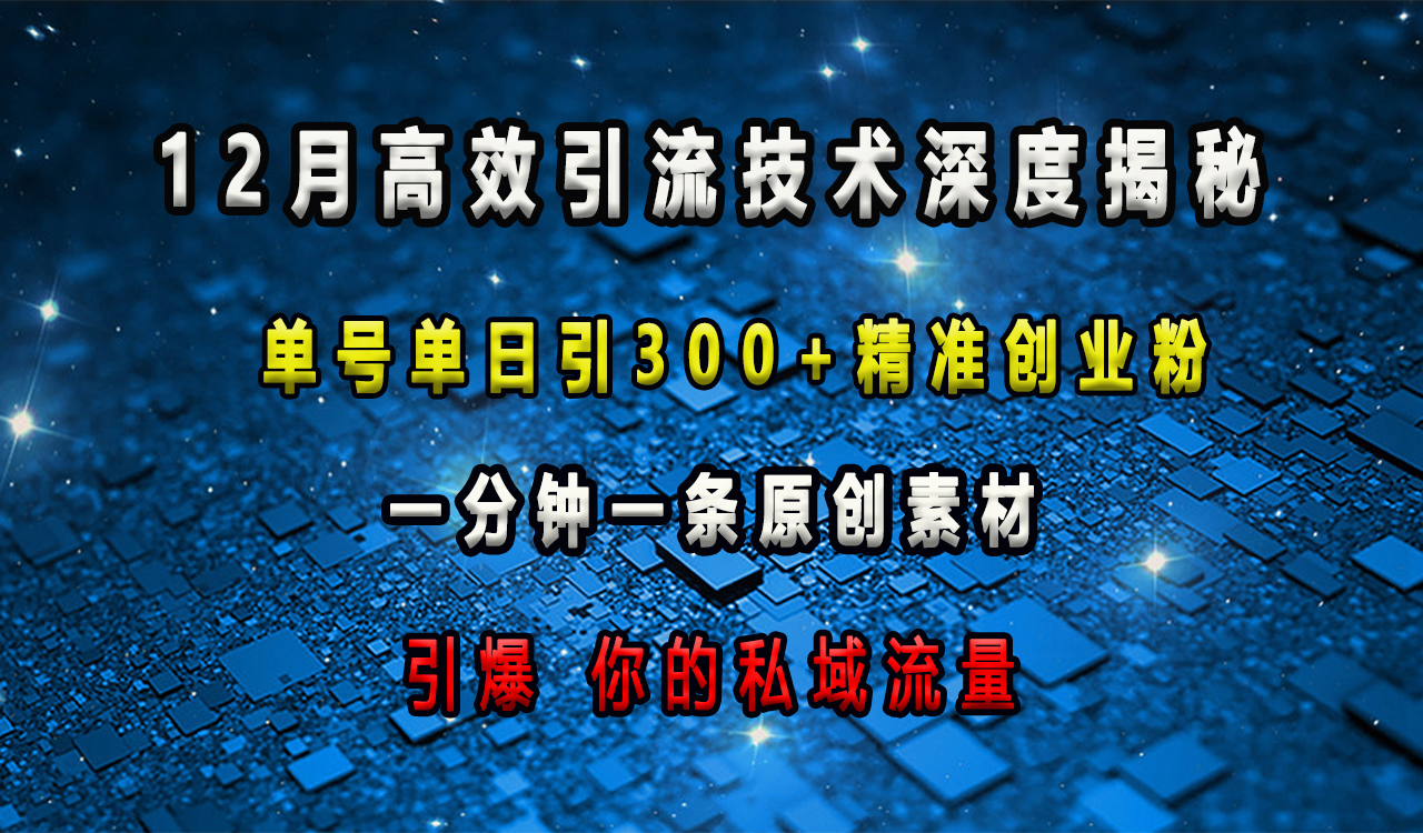 12月高效引流技术深度揭秘 ，单号单日引300+精准创业粉，一分钟一条原创素材，引爆你的私域流量-荔枝网络