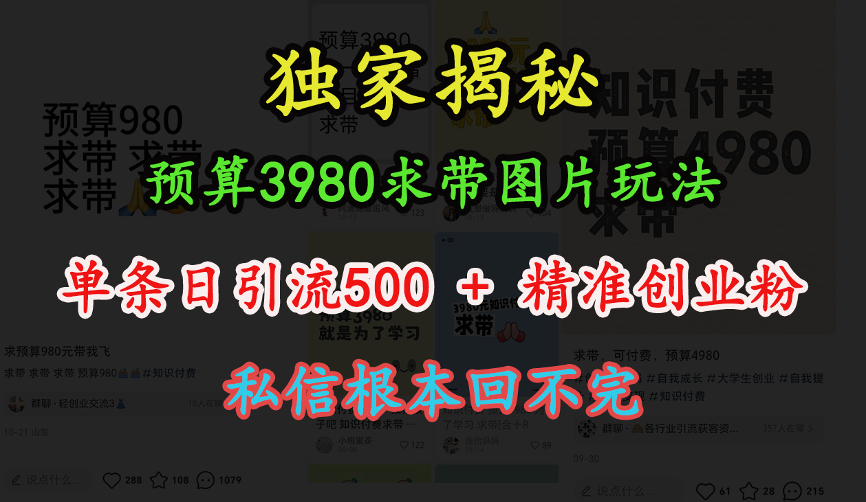 “小红书”预算3980求带 图片玩法，单条日引流500+精准创业粉，私信根本回不完-荔枝网络