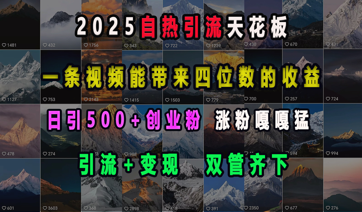 2025自热引流天花板，一条视频能带来四位数的收益，引流+变现双管齐下，日引500+创业粉，涨粉嘎嘎猛-荔枝网络