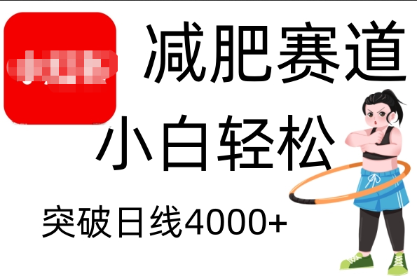 小红书减肥赛道,小白轻松日利润4000+-荔枝网络