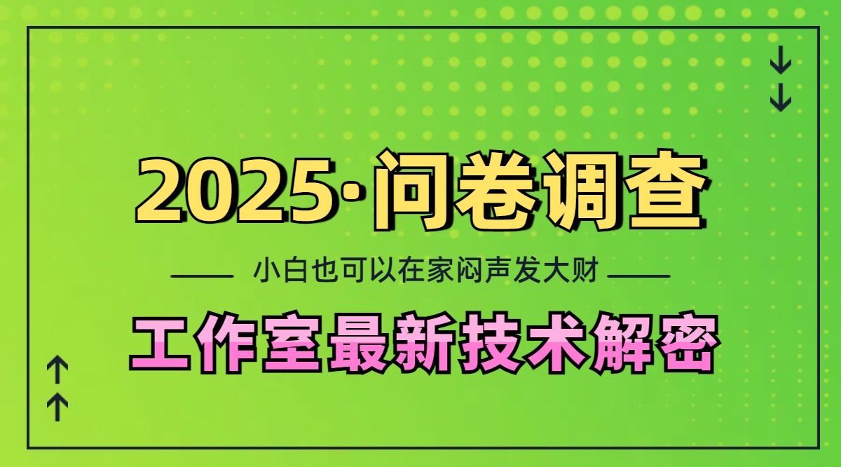 2025《问卷调查》最新工作室技术解密：一个人在家也可以闷声发大财，小白一天200+，可矩阵放大-荔枝网络
