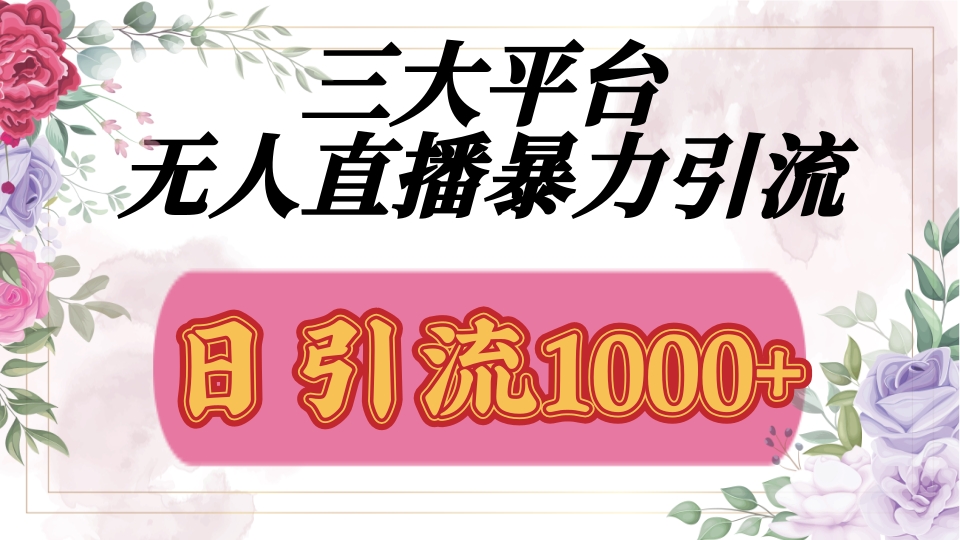 抖音，快手，视频号全平台通用，无人直播引流法，利用图片,模板,整套话术挂机全天支持矩阵操作，无限设备多开，超暴力引流，1000+高质量精准创业粉-荔枝网络