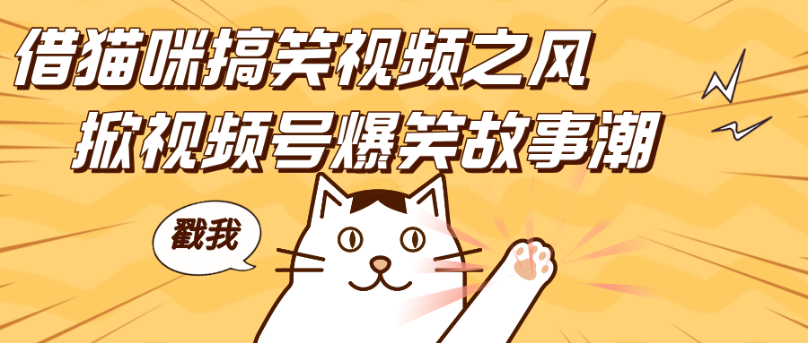借猫咪搞笑视频之风，掀视频号爆笑故事潮，轻松日赚四位数，开启无门槛赚钱新体验！-荔枝网络