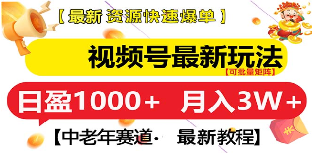 视频号独家玩法，老年养生赛道，无脑搬运爆款视频，日入1000+-荔枝网络