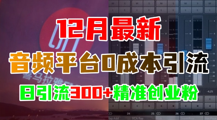 12月最新：音频平台0成本引流，日引300+精准创业粉-荔枝网络