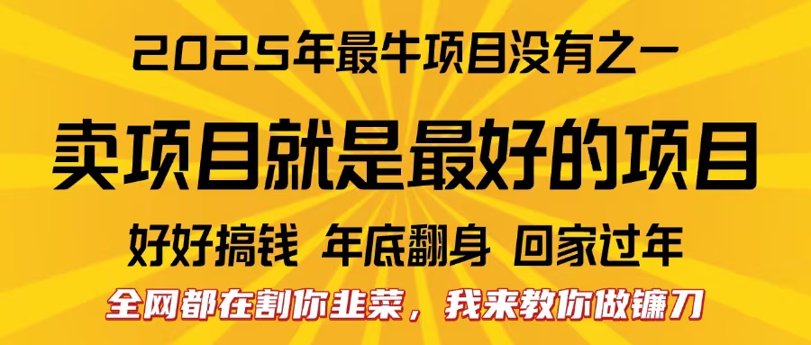 全网都在割你韭菜，我来教你做镰刀。卖项目就是最好的项目，2025年最牛互联网项目-荔枝网络