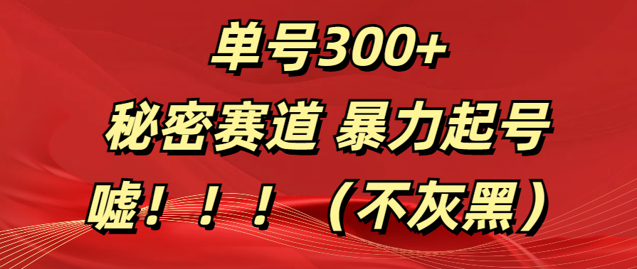 单号300+  秘密赛道 暴力起号  （不灰黑）-荔枝网络