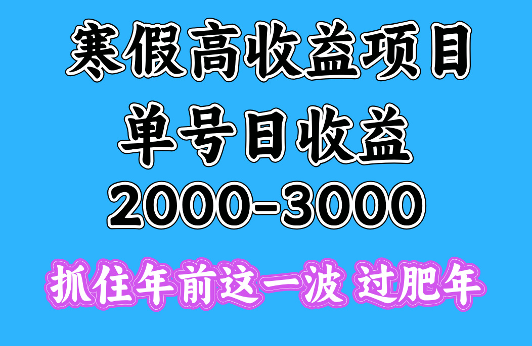 寒假期间一天收益2000-3000+,抓住年前这一波-荔枝网络
