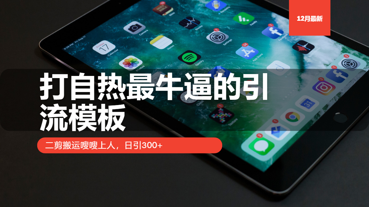 打自热最牛逼的引流模板，日引300+，二剪搬运嗖嗖上人-荔枝网络