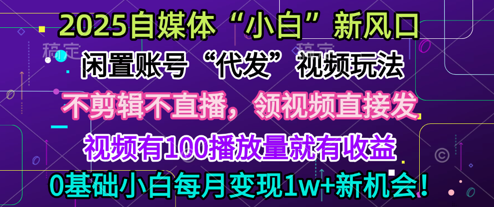 2025每月躺赚5w+新机会，闲置视频账号一键代发玩法，0粉不实名不剪辑，领了视频直接发，0基础小白也能日入300+-荔枝网络