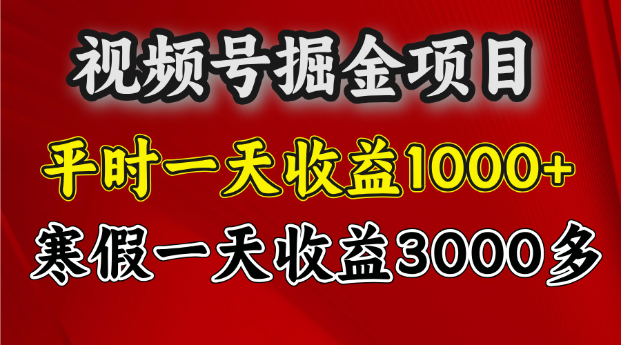 视频号掘金项目，寒假一天收益3000多-荔枝网络