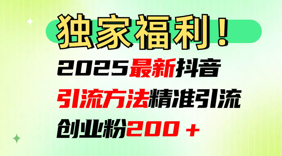 2025最新抖音引流方法每日精准引流创业粉200＋-荔枝网络