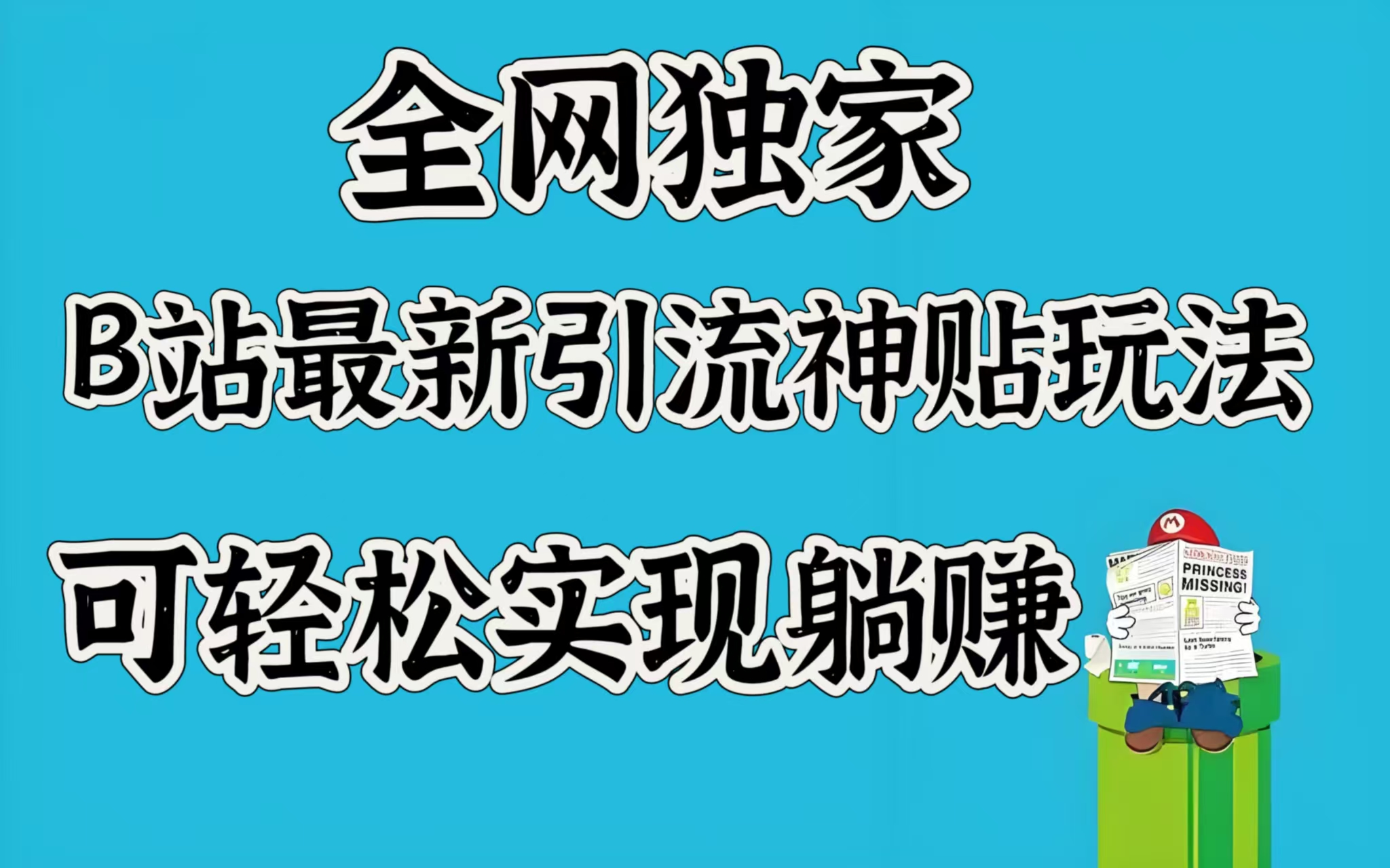 全网独家，B站最新引流神贴玩法，可轻松实现躺赚-荔枝网络