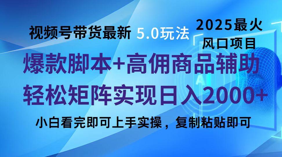 视频号带货最新5.0玩法，作品制作简单，当天起号，复制粘贴，脚本辅助，轻松矩阵日入2000+-荔枝网络