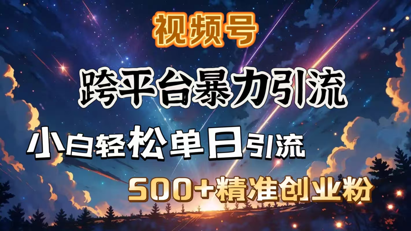 视频号跨平台暴力引流，小白轻松单日引流500＋精准创业粉-荔枝网络