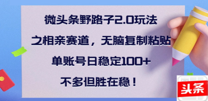 全网首发微头条野路子2.0玩法之相亲赛道，无脑搬砖复制粘贴，单账号日稳定300+保姆级教程-荔枝网络