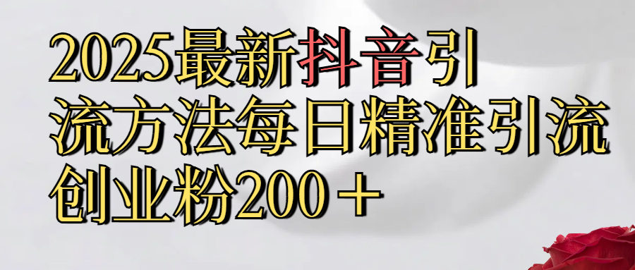 2025最新,抖音引流,方法每日精准引流创业粉300＋-荔枝网络