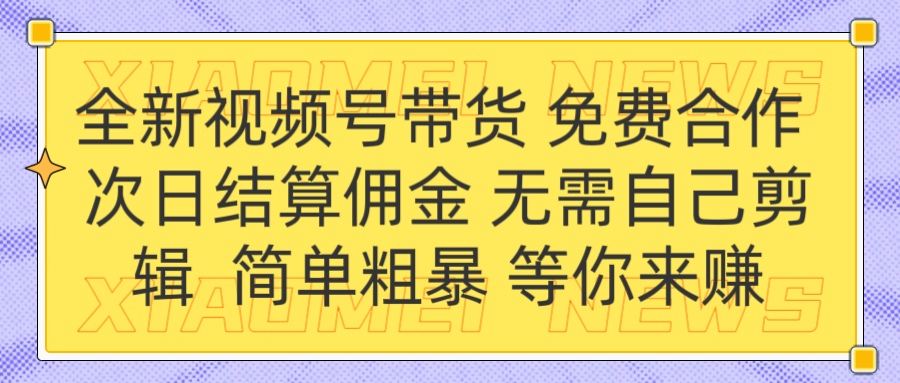 全新视频号 免费合作 佣金次日结算 无需自己剪辑-荔枝网络