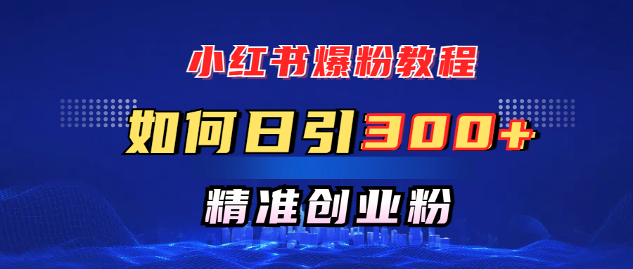 小红书爆粉教程，如何日引300+创业粉，快速实现精准变现！-荔枝网络