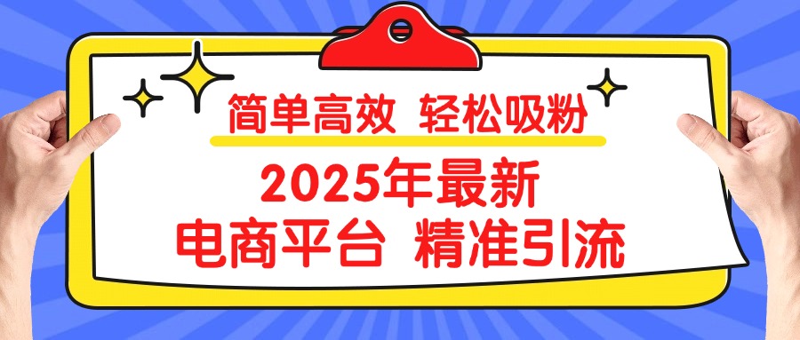 2025年最新电商平台精准引流 简单高效 轻松吸粉-荔枝网络
