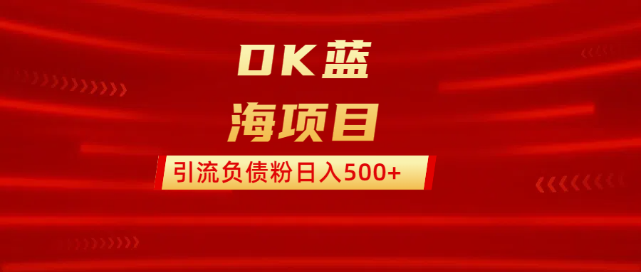 DK蓝海项目  通过，抖音，快手，小红书，引流负债粉日入500+-荔枝网络