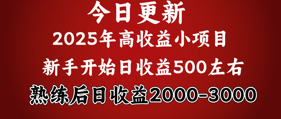好项目一眼就能看出来,日收益1000,长久可做,2025拼的就是我比你勤奋-荔枝网络