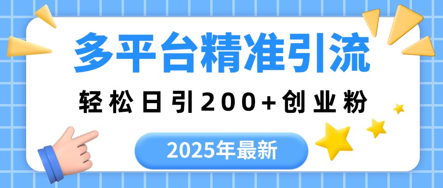 2025年最新多平台精准引流,轻松日引200+-荔枝网络