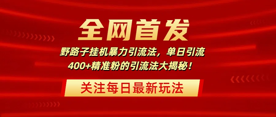 全网首发，野路子挂机暴力引流法，单日引流400+精准粉的引流法大揭秘！-荔枝网络