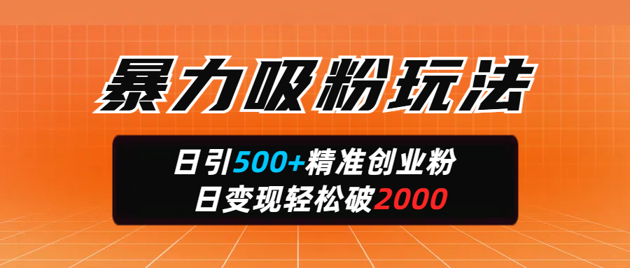 暴力吸粉玩法，日引500+精准创业粉，日变现轻松破2000-荔枝网络