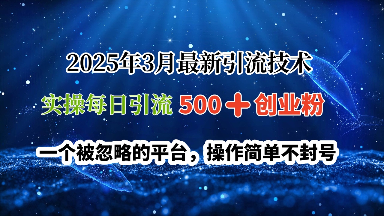 2025年3月最新引流技术，实操每日引流500➕创业粉，一个被忽略的平台，操作简单不封号-荔枝网络