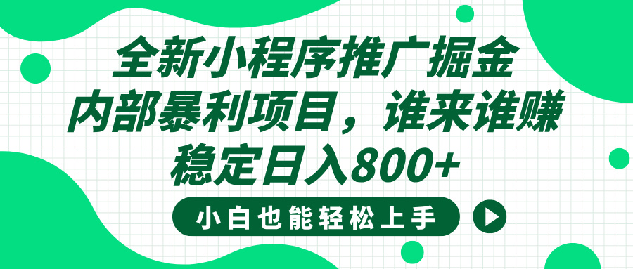 全新小程序推广掘金，内部暴利项目，小白轻松上手，稳定日入800+-荔枝网络